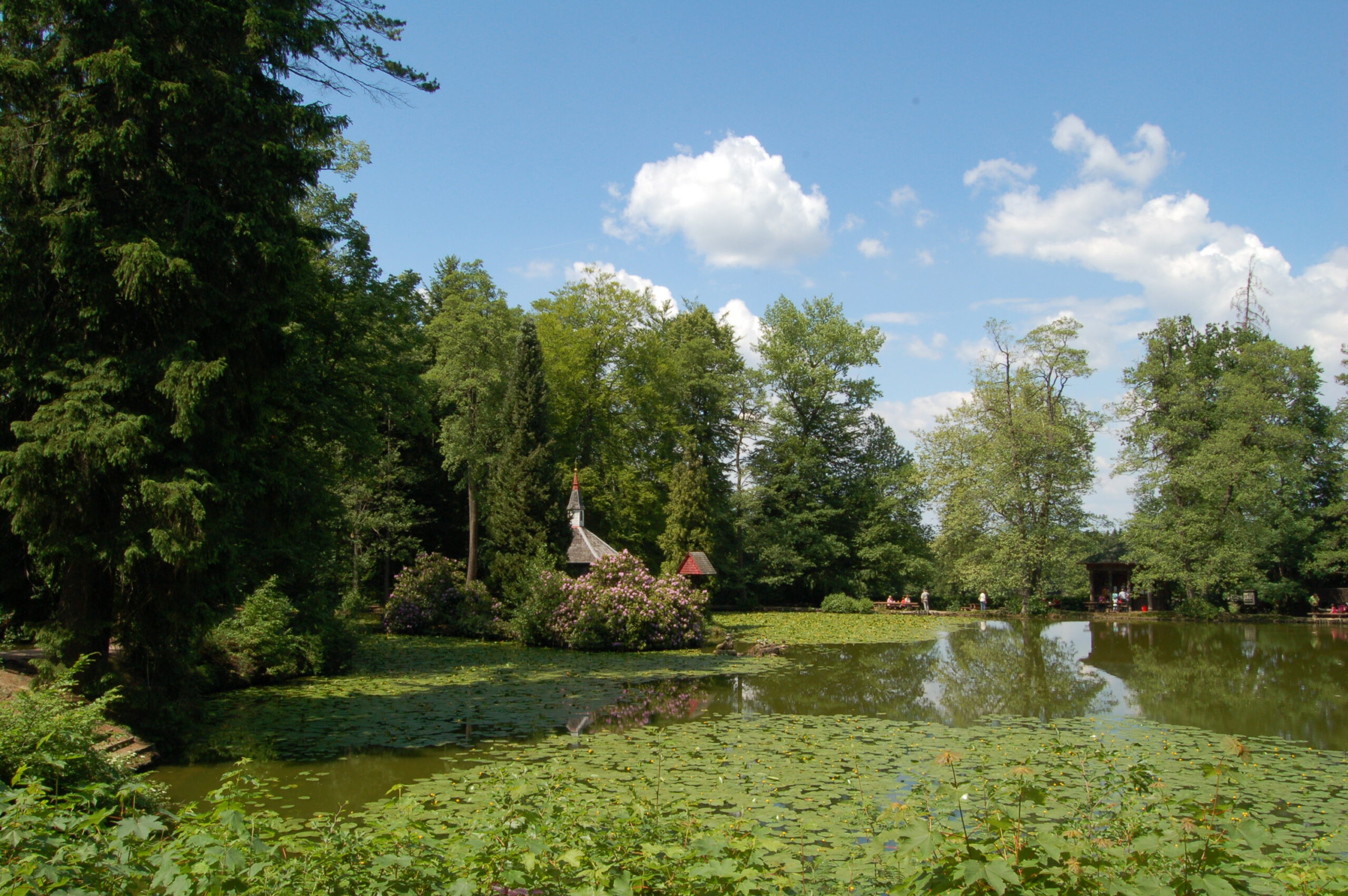 Englischer Garten Eulbach, Blick auf den Weiher, Foto: © Dr. Georg Peter Karn, 2012