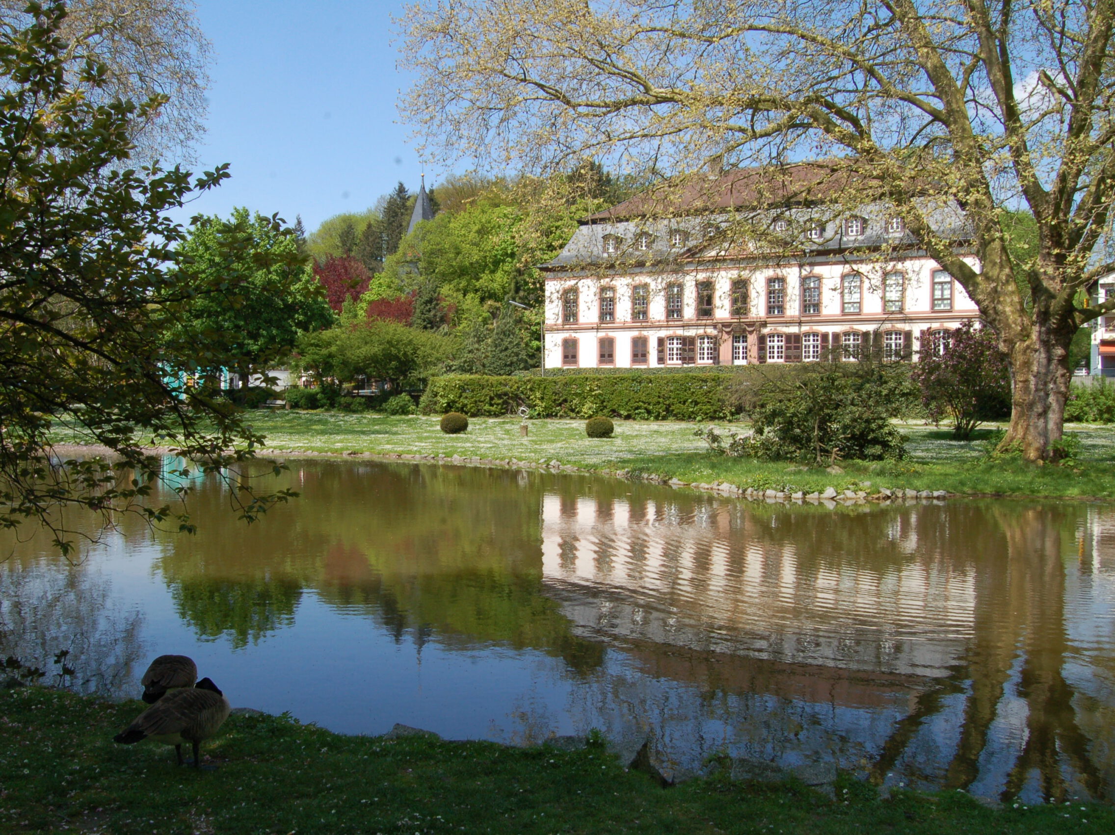 Schlosspark Birkenau, Blick auf den Weiher mit Schloss, Foto: © Dr. Georg Peter Karn, 2008