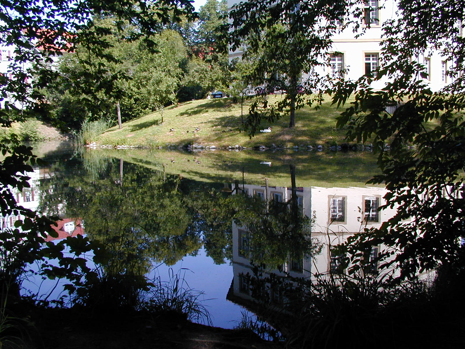 Schlossgarten Oppenweiler, Blick auf den Weiher, Foto: © Gemeinde Oppenweiler
